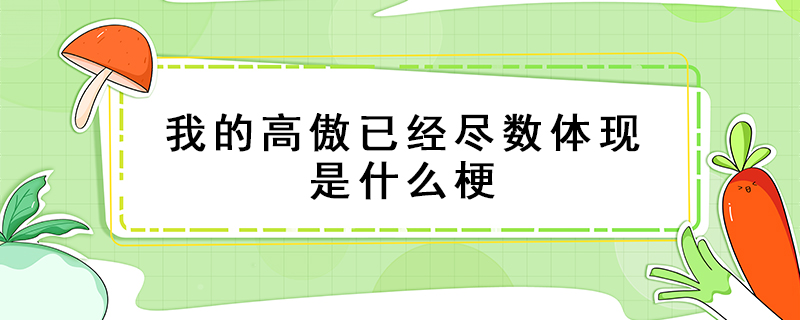 我的高傲已经尽数体现是什么梗